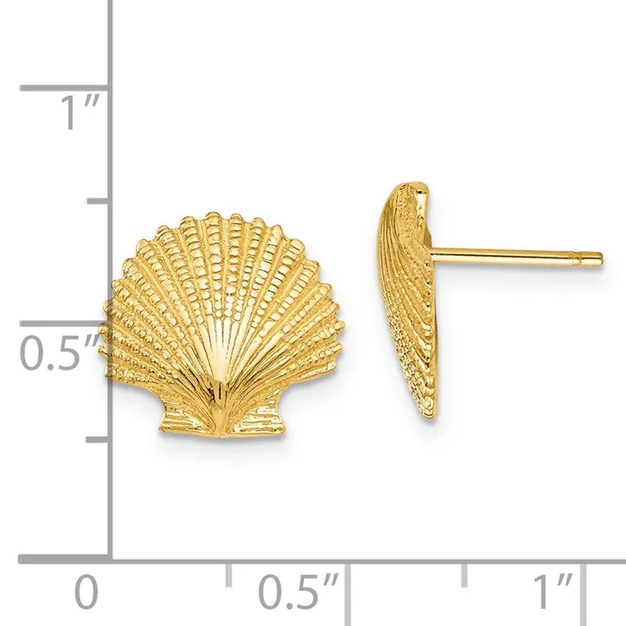 Goldia Earrings 14k Yellow Gold Scallop Shell Post Earrings