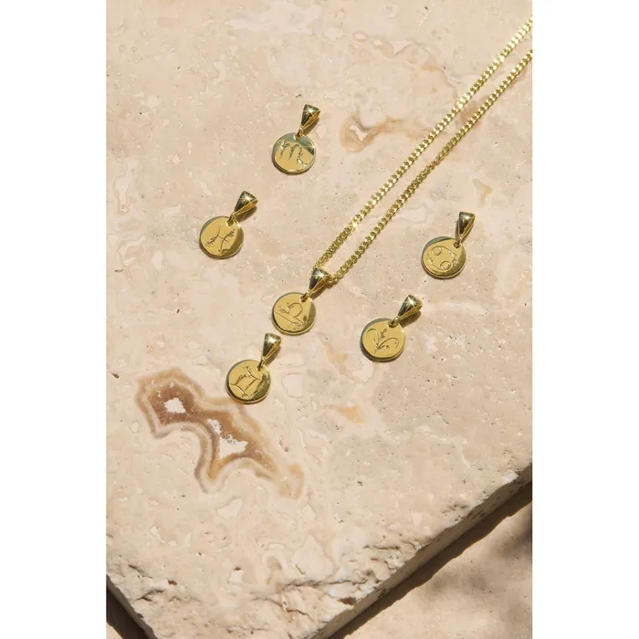 Ema Jewels Necklaces Scorpio Zodiac Sign Pendant Necklace 14K 925 Gold Vermeil