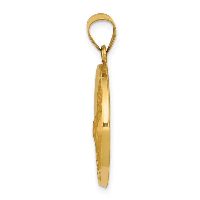 Necklaces 14k Yellow Gold Polished and Satin St Francis of Assisi Medal Hollow Pendant TreasureFineJewelers