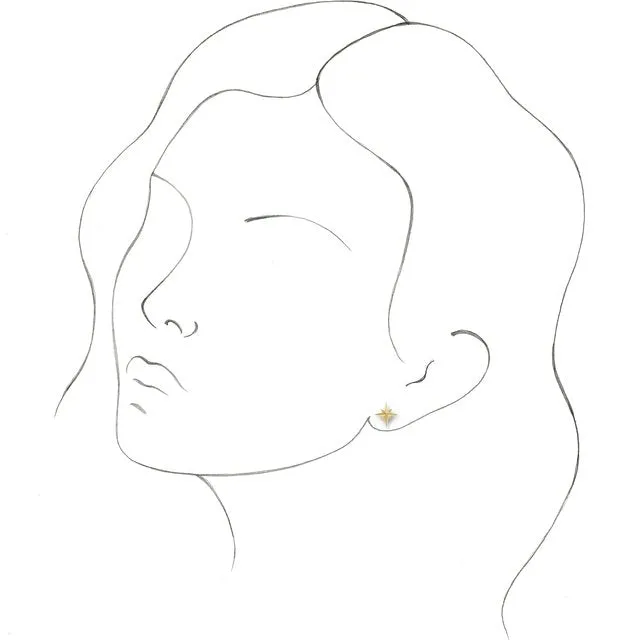 TreasureFineJewelers Earrings 14K Yellow Gold Star Earrings