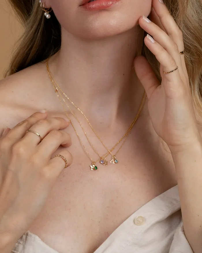 ERIJEWELRY Necklaces Initial Z with Birthstone Necklace