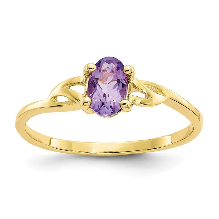 WB Choice Jewelry 10k Polished Geniune Amethyst Birthstone RingWBC10XBR131 Rings WB Choice Jewelry 10k Polished Geniune Amethyst Birthstone RingWBC10XBR131 Rings