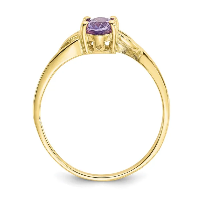 WB Choice Jewelry 10k Polished Geniune Amethyst Birthstone RingWBC10XBR131 Rings WB Choice Jewelry 10k Polished Geniune Amethyst Birthstone RingWBC10XBR131 Rings