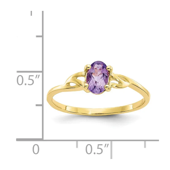 WB Choice Jewelry 10k Polished Geniune Amethyst Birthstone RingWBC10XBR131 Rings WB Choice Jewelry 10k Polished Geniune Amethyst Birthstone RingWBC10XBR131 Rings